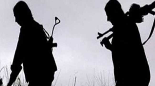 2 PKK/YPG'li terörist daha gözaltına alındı