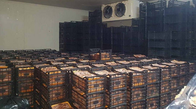 Adana’da 40 ton kaçak et ele geçirildi