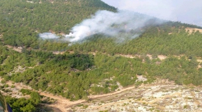 Adana'da bir yangın daha