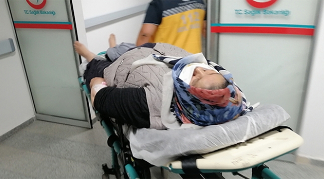 Freni boşalan otomobil şarampole devrildi