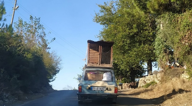 Mobil kümes
