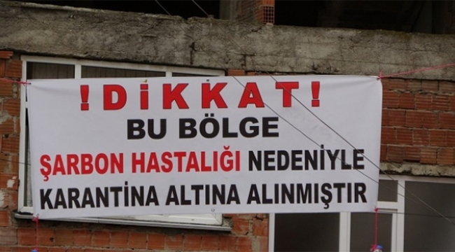 O ilde şarbon krizi...