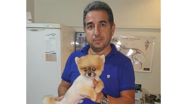 Veterinerin kafasına beton parçası düştü