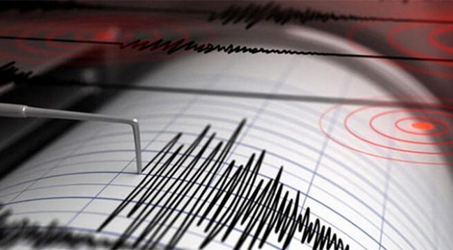 Adana'da deprem paniği