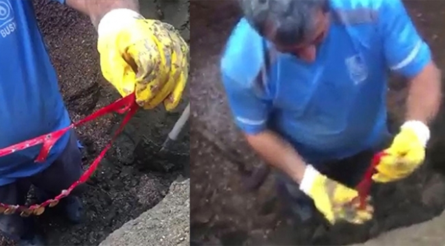 Çeyrek altınlar için yolu kazdılar