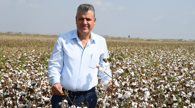 Pamuk fiyatının 6 lira olması isteniyor