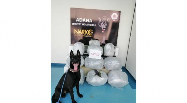 Tırın yatağında 46 kilo 250 gram esrar ele geçirildi
