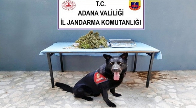 Evinden 1 kilo 200 gram esrar ele geçiril