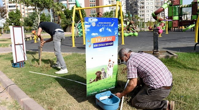 Sokak hayvanlarına yeni suluk