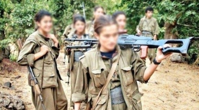 Terör örgüt PKK/KCK'ya yönelik operasyon düzenledi