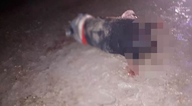 16 yaşındaki çocuk terör estirdi!