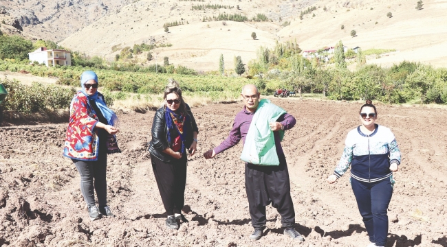 ŞALVARLI BAŞKAN BUĞDAYI DA KENDİ ELLERİYLE EKTİ