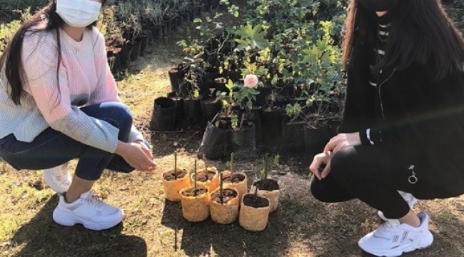Doğaya zarar vermeyen organik viyoller yetiştirdiler