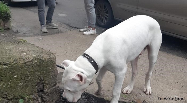 Firari hükümlü yakayı ele verdi