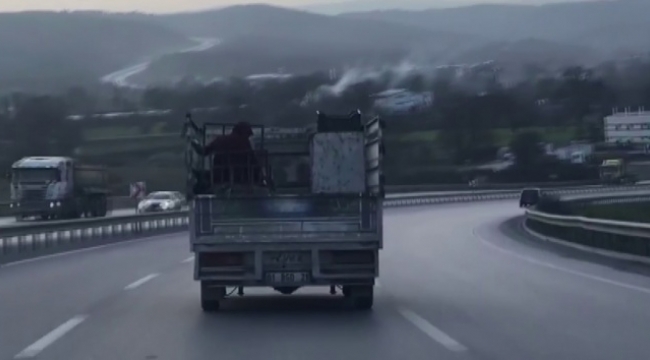 Kamyonet kasasında tehlikeli yolculuk