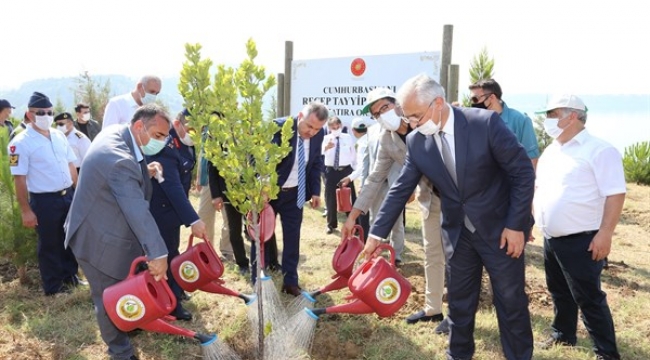 2020 yılında 5 milyon 600 bin fidanı toprakla buluştu