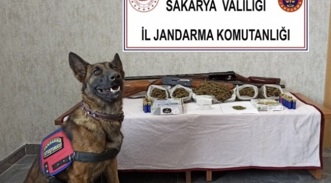 833,75 gram kubar esrar ele geçirildi