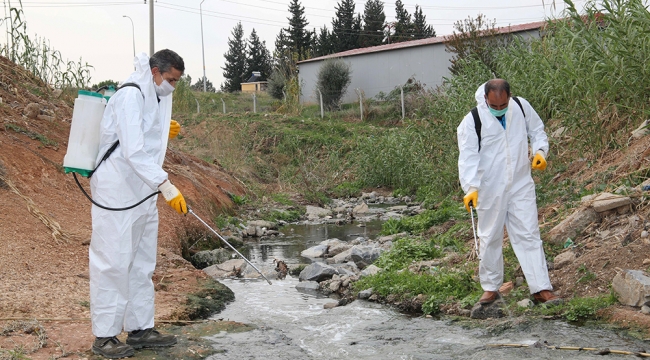 Büyükşehir sivrisinek ve haşereye karşı ilaçlama yapıyor