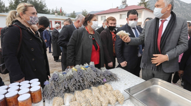 Feke’de üreticilere 210 bin lavanta fidesi dağıtıldı