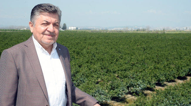 PORTAKAL İHRACATINA BAKANLIK ENGELİ