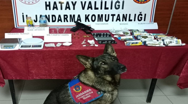 Uyuşturucu tacirlerine operasyon