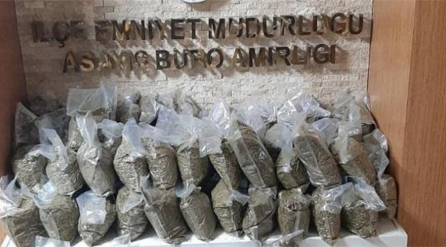 72 kilogram bonzai ele geçirildi
