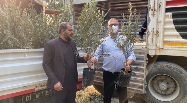 Başkan Topuz 50 bin fidanı toprakla buluşturacak