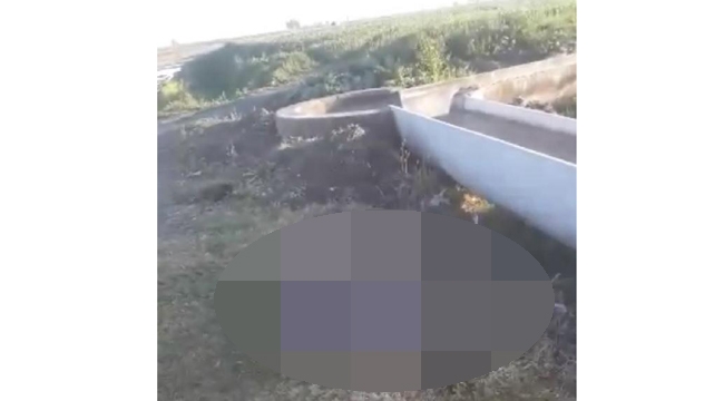 Adana'da hamile kadın öldürüldü