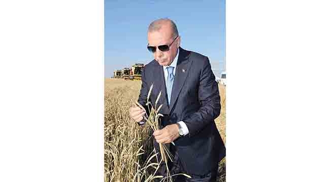 Adanalı çiftçiye 88 milyon 880 bin lira destek