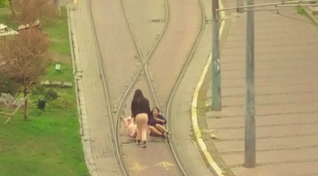 Selfi uğruna canlarını hiçe saydılar