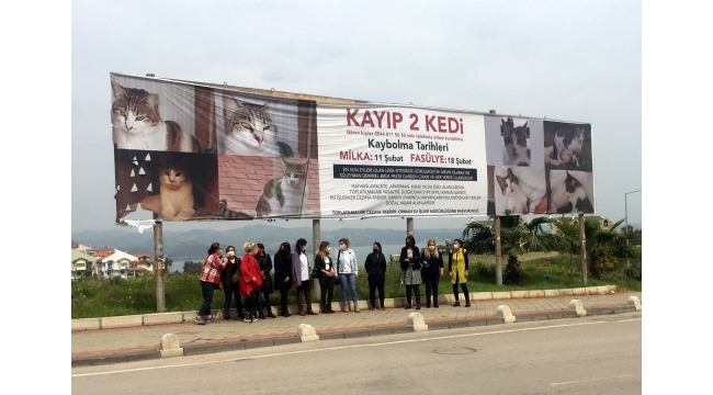 Kaybolan iki kedi için kadınlar seferber oldu
