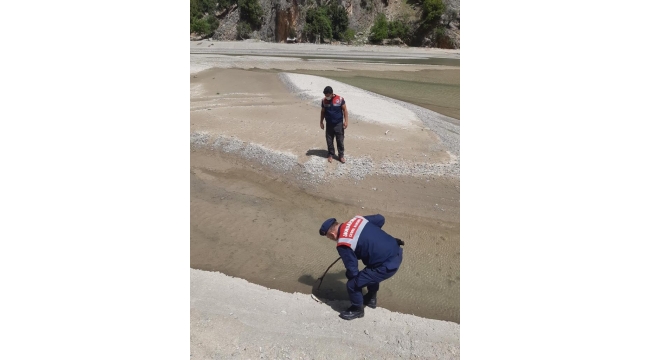 Balık ölümlerine dereye sızan sıvı beton neden olmuş