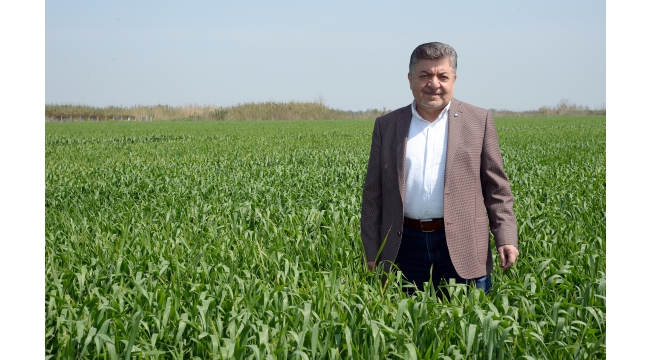 ‘BUĞDAY TABAN FİYATI EN AZ 2,57 TL OLMALI’