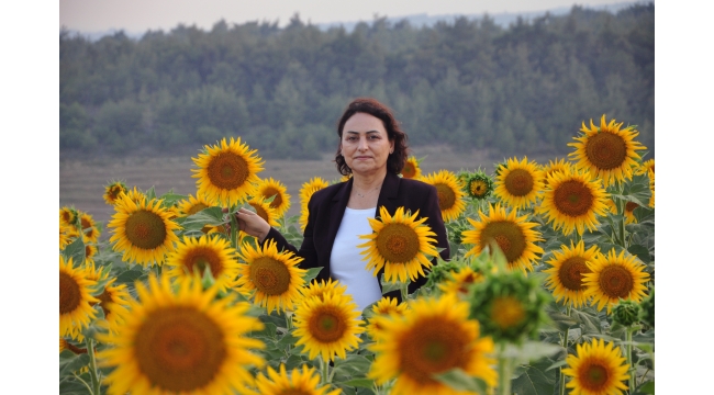 “Ayçiçeği ve soyada dışa bağımlılık sona ermeli”