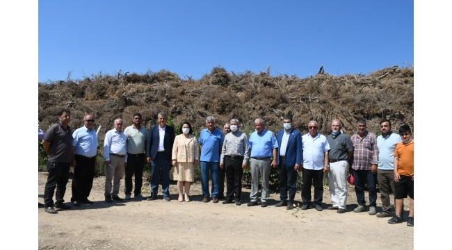 CHP Milletvekilleri, Adana'da yaşanan çevre felaketine tepki gösterdi