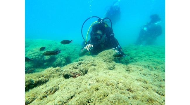 Doğu Akdeniz, su altı zenginliğiyle dalış tutkunlarını cezbediyor