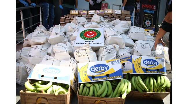 MUZLARIN ARASINDAN 1 TON KOKAİN ÇIKTI