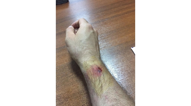 Polise mukavemet gösteren 4 kişi serbest bırakıldı