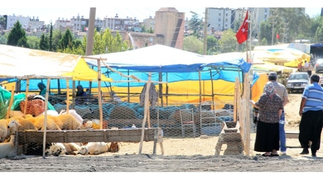 Çukurova’da kurban satış yerleri belirlendi