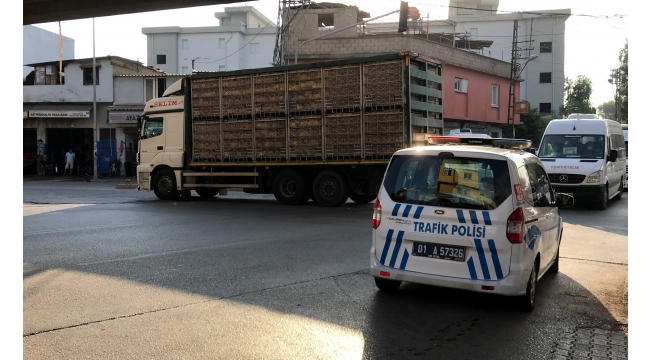 Panelvan yayaya çarptı