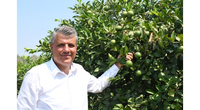 Ayhan Barut, narenciye ihracatında analiz şartına tepki gösterdi