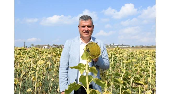Ayhan Barut'tan ayçiçeği çağrısı