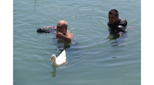 Seyhan Nehri'ne giren kişiyi dalgıç polisler sudan çıkardı