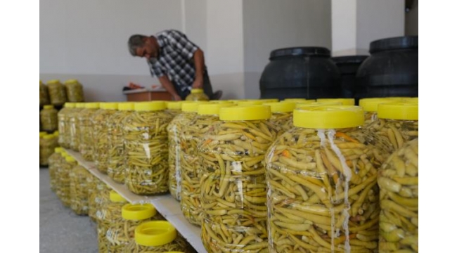 Doğal biber turşusuna talep artıyor