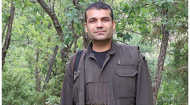HPG dış ilişkiler sorumlusu terörist yakalandı