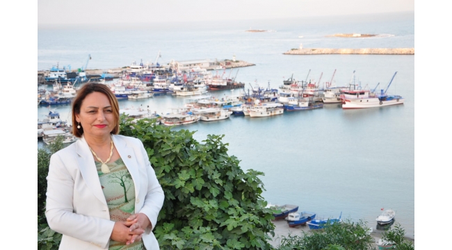 Karataş ve Yumurtalıklı balıkçılar için araştırma önergesi