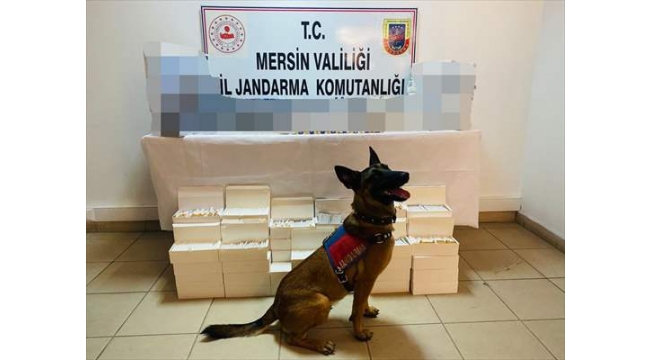 Mersin'de kaçak sigara operasyonu