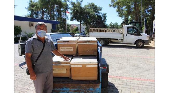 Yangından zarar gören bal üreticilerine kovan yardımı