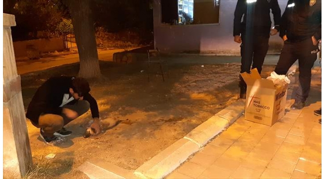 Köpek yavrusuna polis ekipleri sahip çıktı