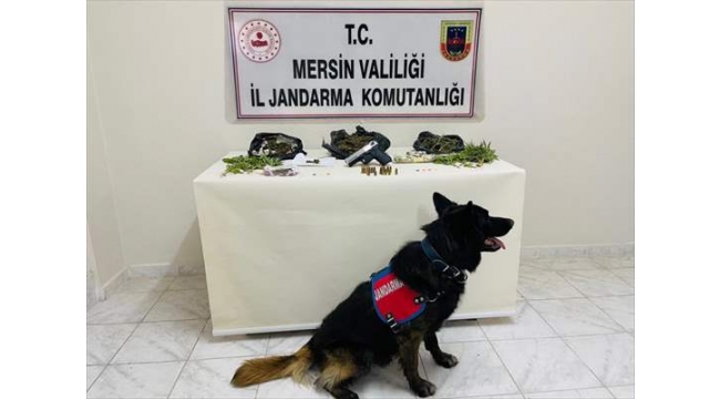 Mersin'de uyuşturucu operasyonu